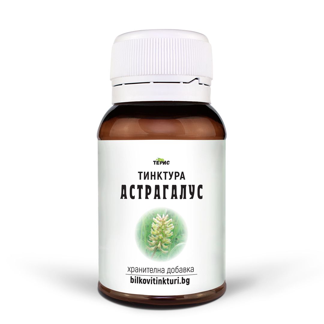 Астрагалус