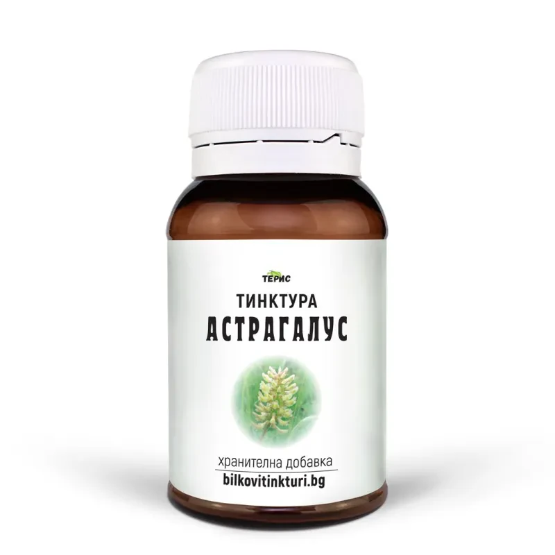 Астрагалус