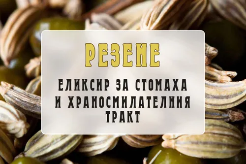Резене - еликсир за стомахa и храносмилателния тракт