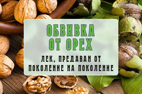 Обвивката на орех - лек, предаван от поколение на поколение