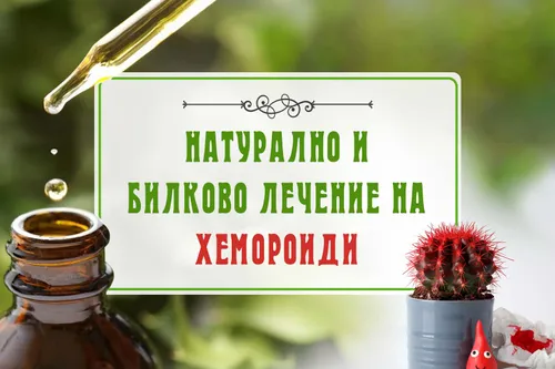 Билки и грижа при хемороиди