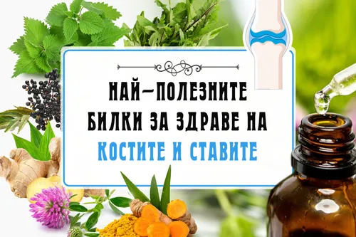 Най-полезните билки за здраве на костите и ставите