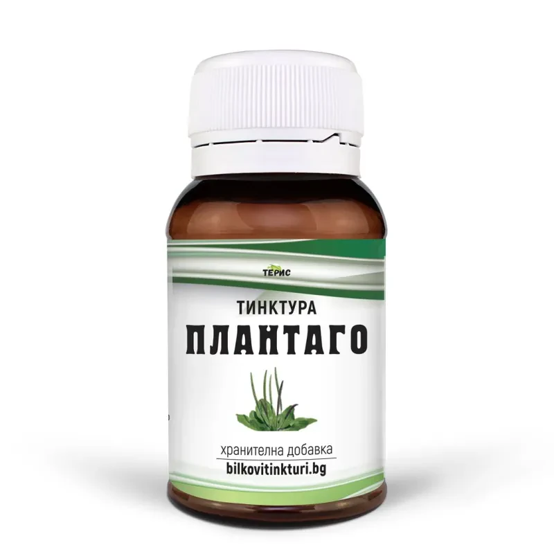 Plantago