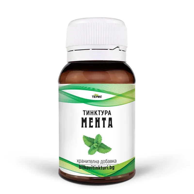 Мента